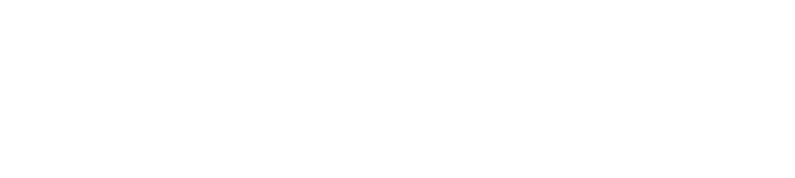 Skärmsköld